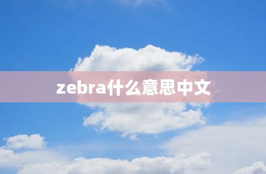 zebra什么意思中文