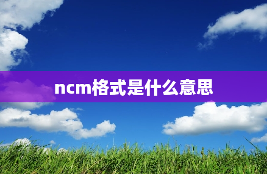 ncm格式是什么意思